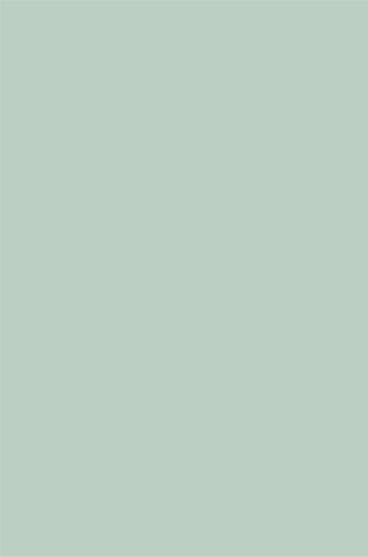 Light Grey- Gloss